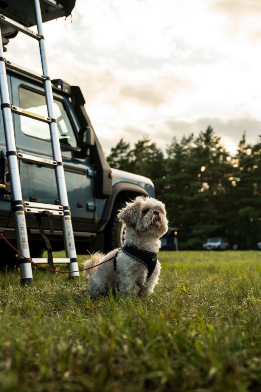 grenadier summit 2024 impressionen grenadier summit 2024 impressionen